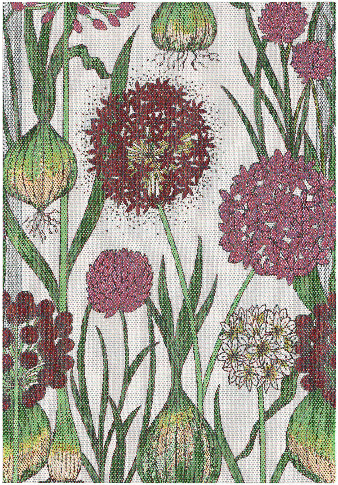 Ekelund Allium