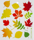 SDC Autumn Leaves