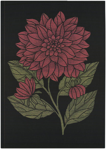 Ekelund Dahlia Dekorativ
