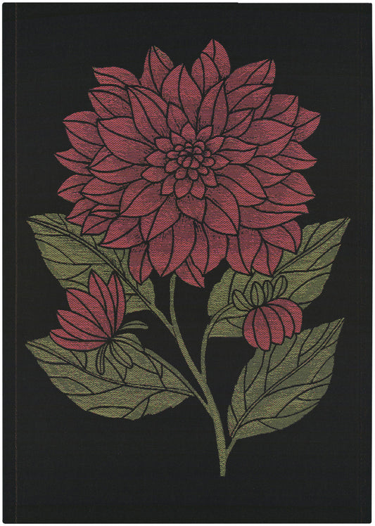 Ekelund Dahlia Dekorativ