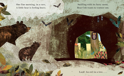Home A Peek Through Picture Book