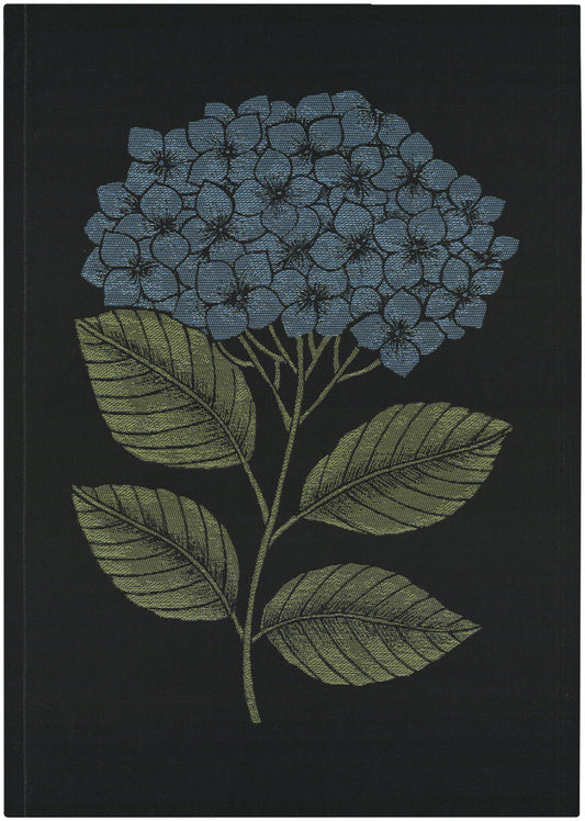 Ekelund Hydrangea