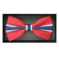 Norwegian Flag Bow Tie