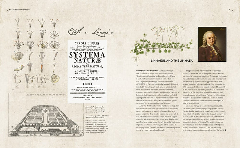 Scandinavian Gardens