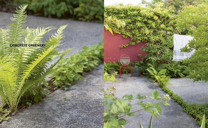Scandinavian Gardens