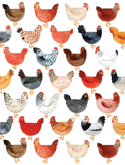 Notecards Chicken