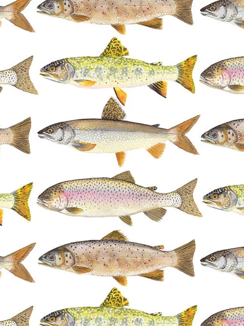 Notecards Up North