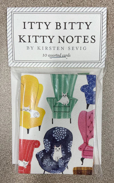 Itty Bitty Kitty Notes