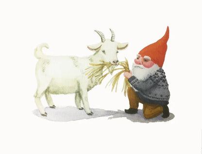 Note Cards Happy Gnomes