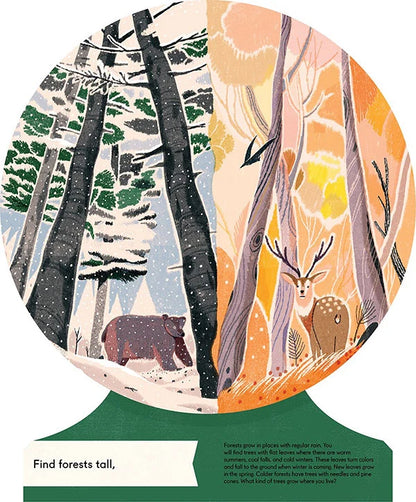 Our World First Book of Geography
