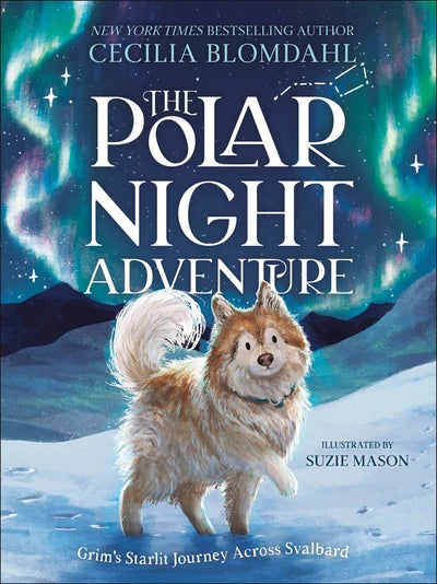 Polar Night Adventure