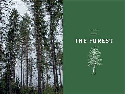 Norwegian Wood Chopping, Stacking Drying Wood, Lars Mytting