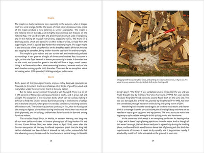 Norwegian Wood Chopping, Stacking Drying Wood, Lars Mytting