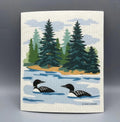 SDC Loon Lake