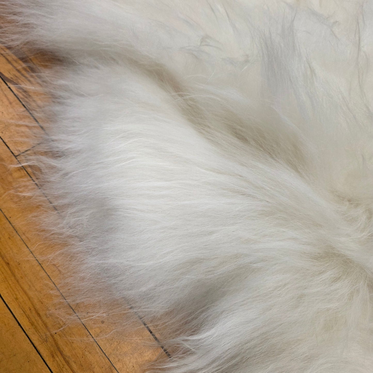Icelandic Sheepskin - One