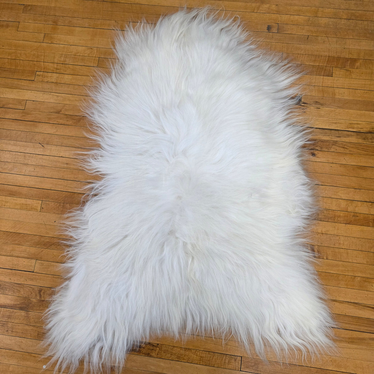 Icelandic Sheepskin - Two