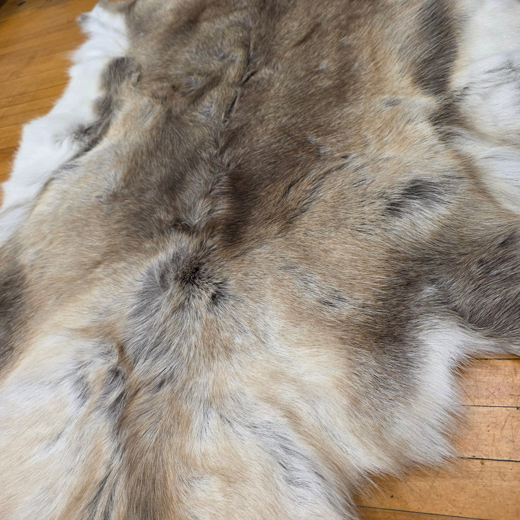 Reindeer Hide - Two