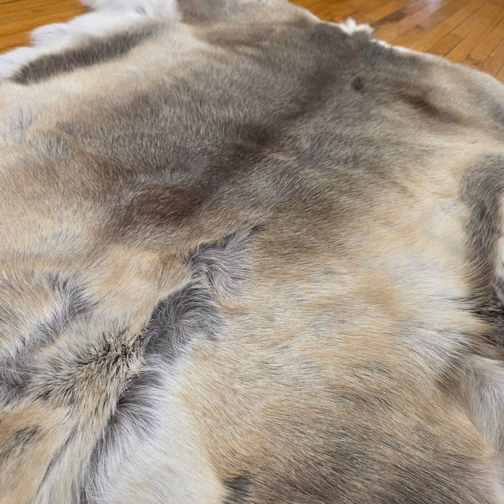 Reindeer Hide - One