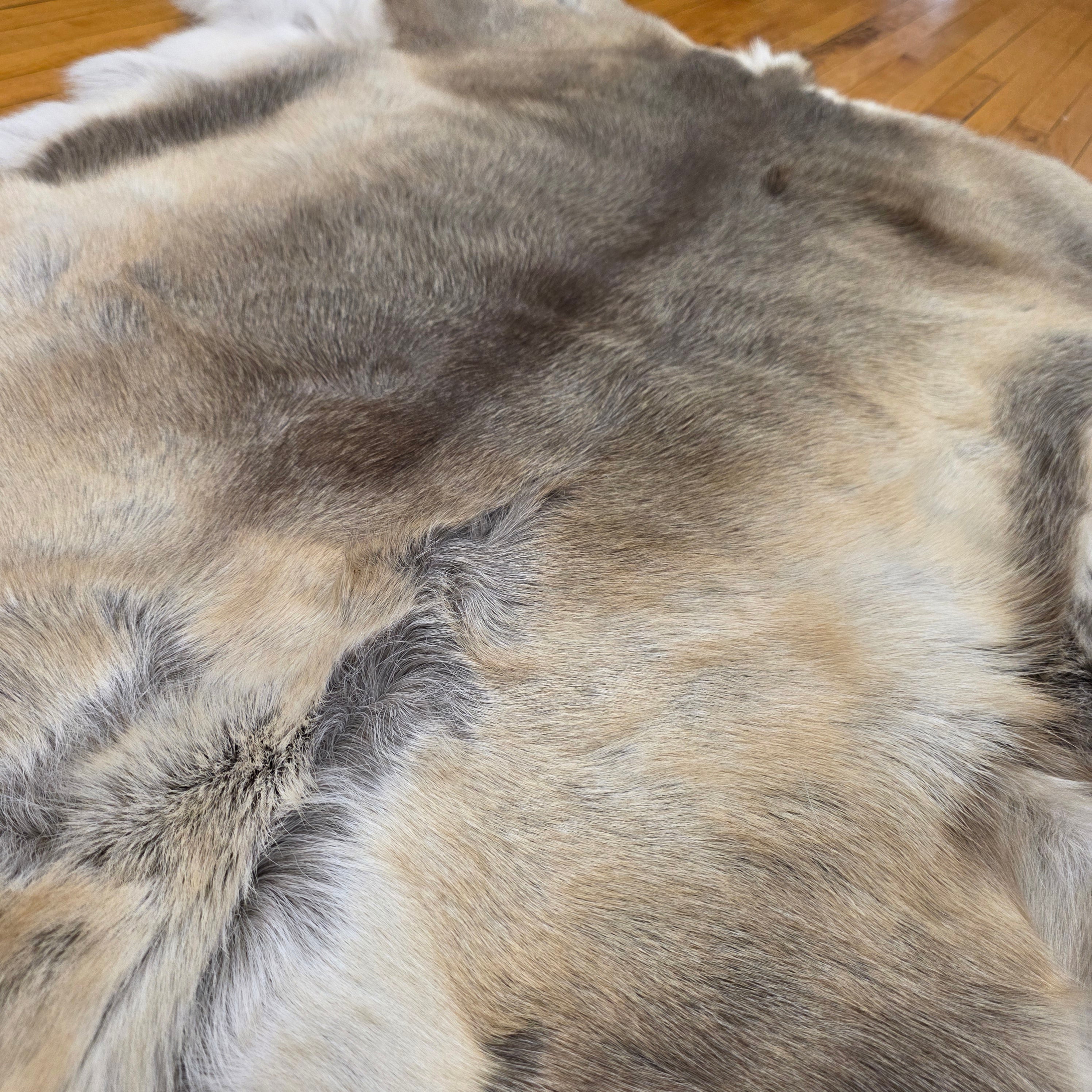 Reindeer Hide - One