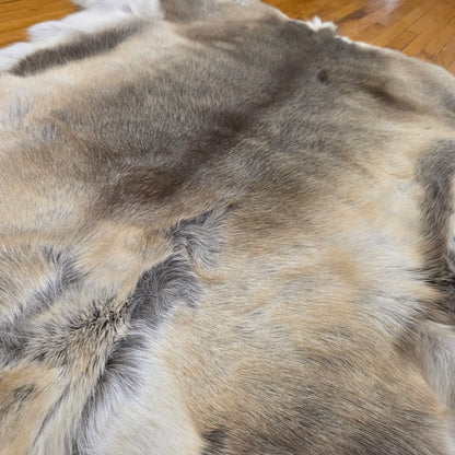 Reindeer Hide - One