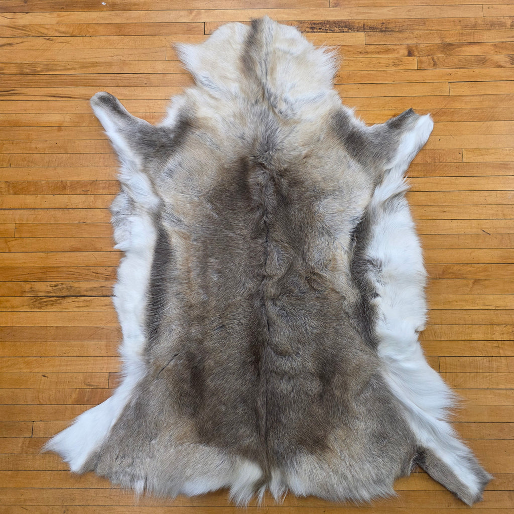 Reindeer Hide - Two