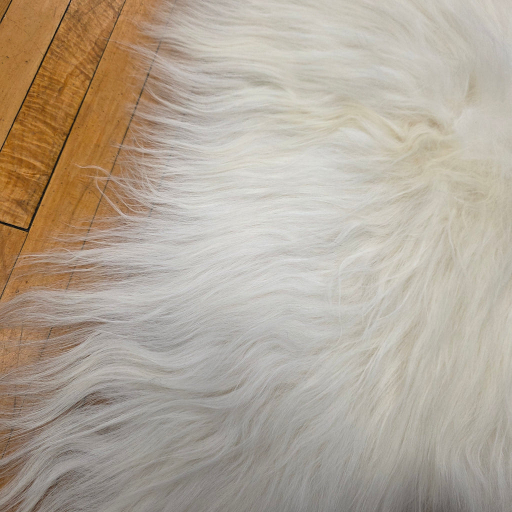 Icelandic Sheepskin - Two