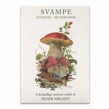 Notecards Mushrooms