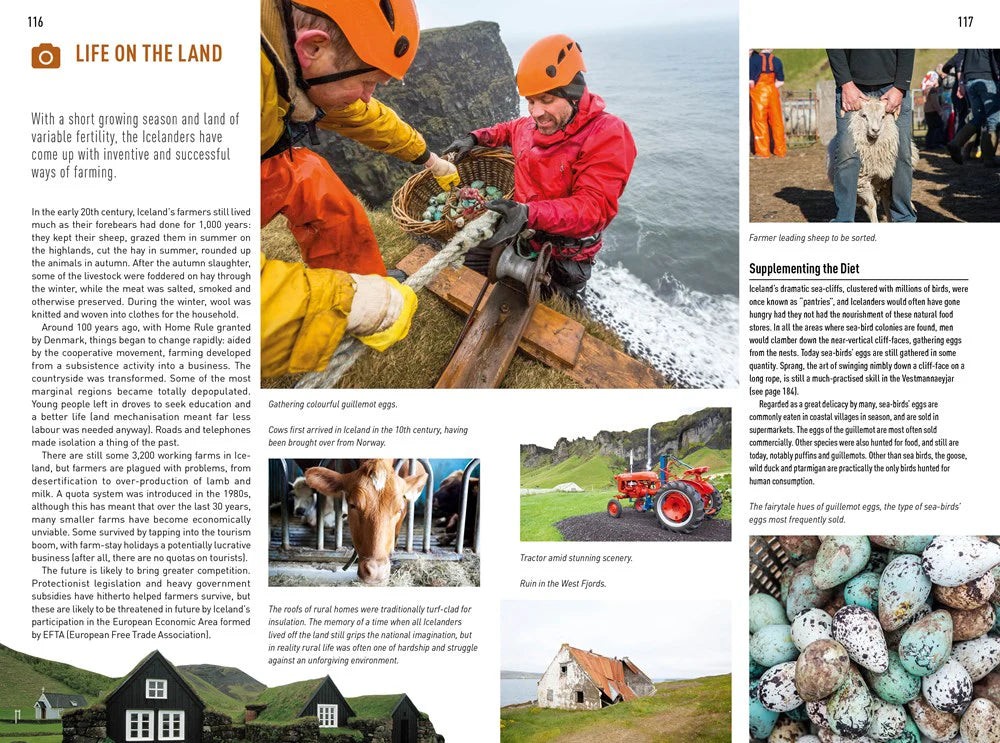 Insight Guide Iceland